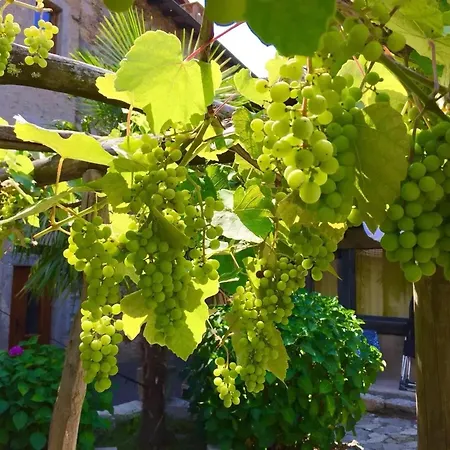 Ferienhaus Charming House In With Private Garden La Neuveville