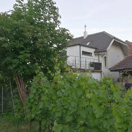 Charming House In With Private Garden La Neuveville