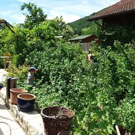 Charming House In With Private Garden Ferienhaus