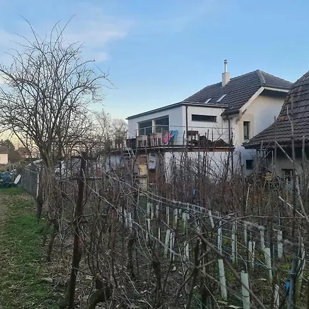 Charming House In With Private Garden Ferienhaus